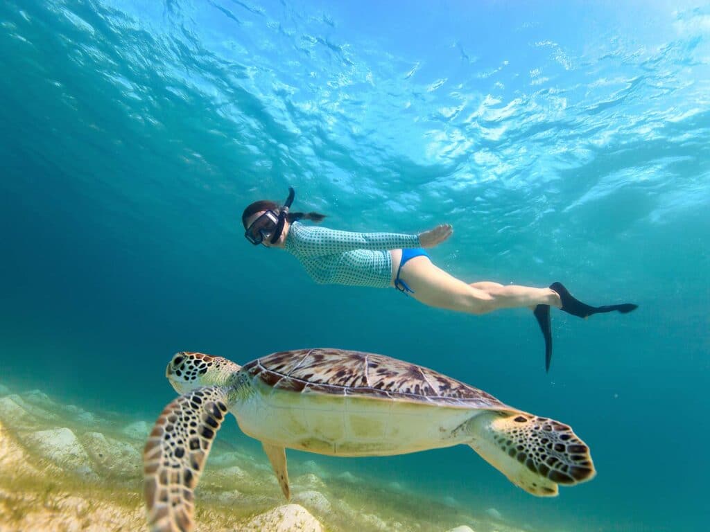 plongée en apnée paros tortue de mer. Activités à Paros